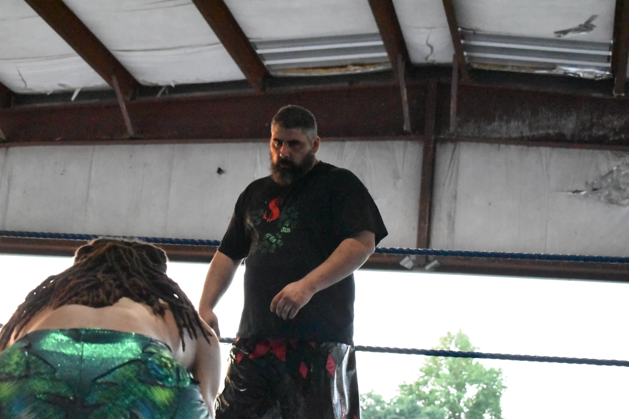 3291.webp