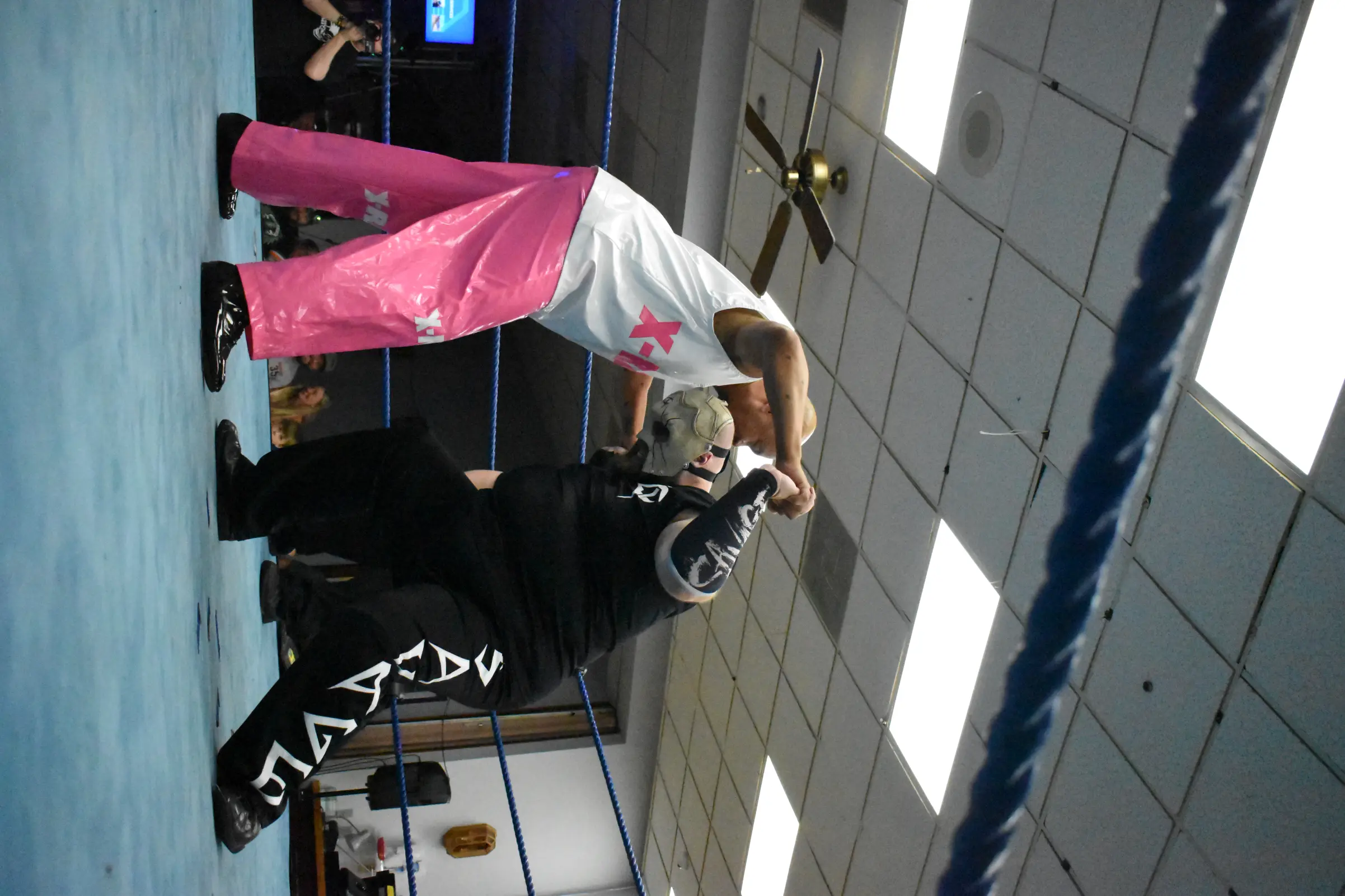 3194.webp